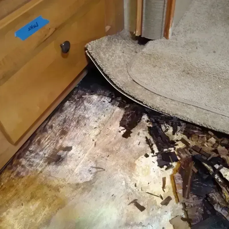 Wood Floor Water Damage in Batavia, IL